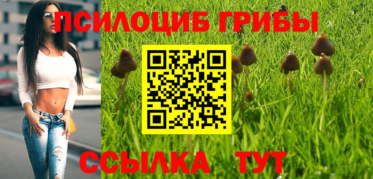 Галлюциногенные грибы Magic Shrooms  Псилоцибиновые грибы мухоморы  купить   Троицк  Вход с VPN 
