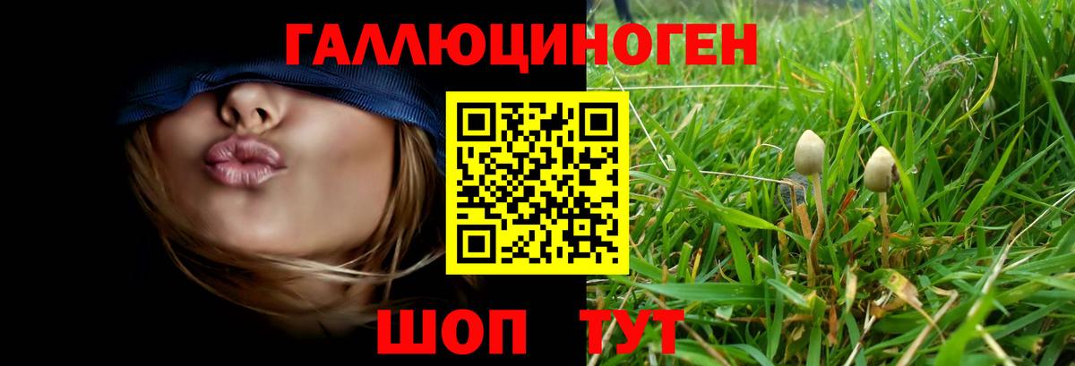 Псилоцибиновые грибы Psilocybe Троицк